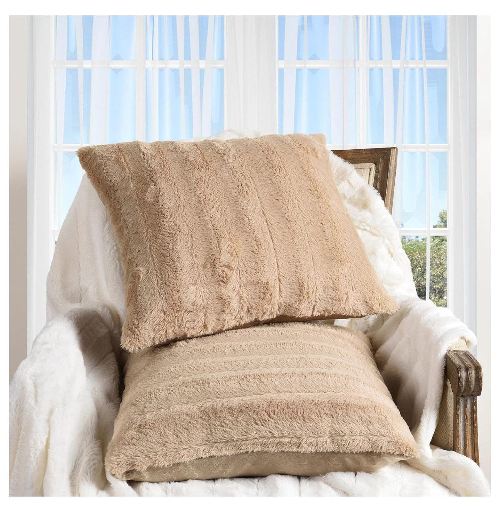 Cheer Collection FRBIN Square Pillow Cover & Insert (Set of 2)