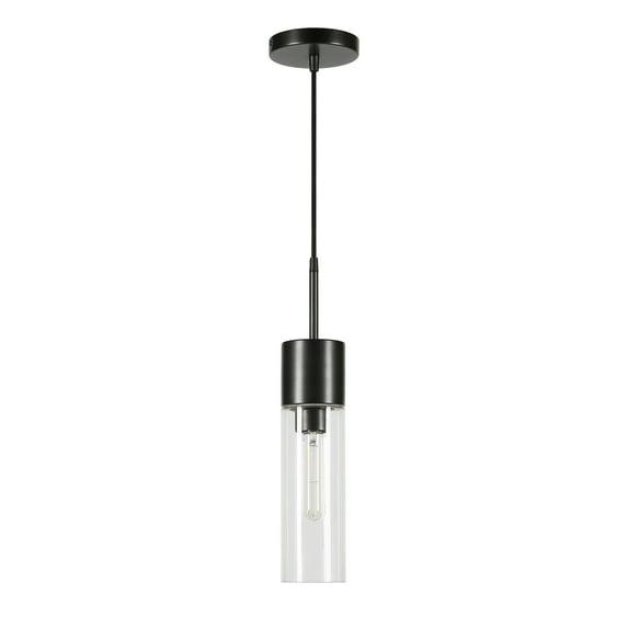 Evelyn&Zoe Industrial Clear Glass Pendant
