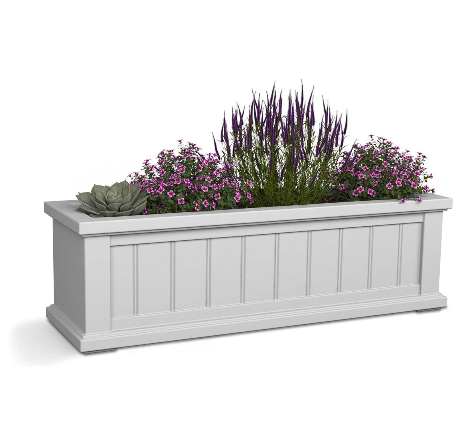Mayne Cape Cod 36" x 11" x 10.8" Rectangle White Self-Watering Polyethylene Window Box Planter