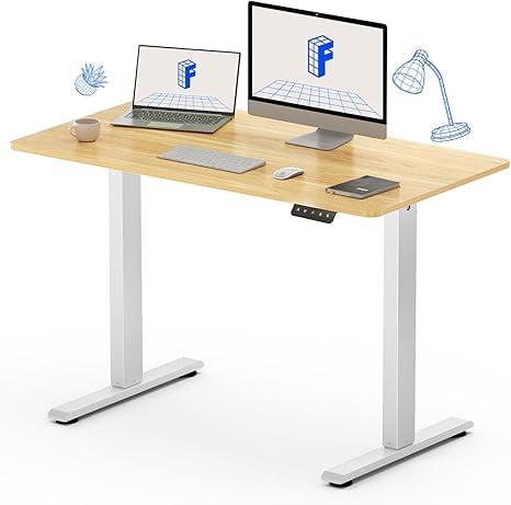 FLEXISPOT Standing Desk Adjustable Height with Whole Piece Desk Board 43 x 24