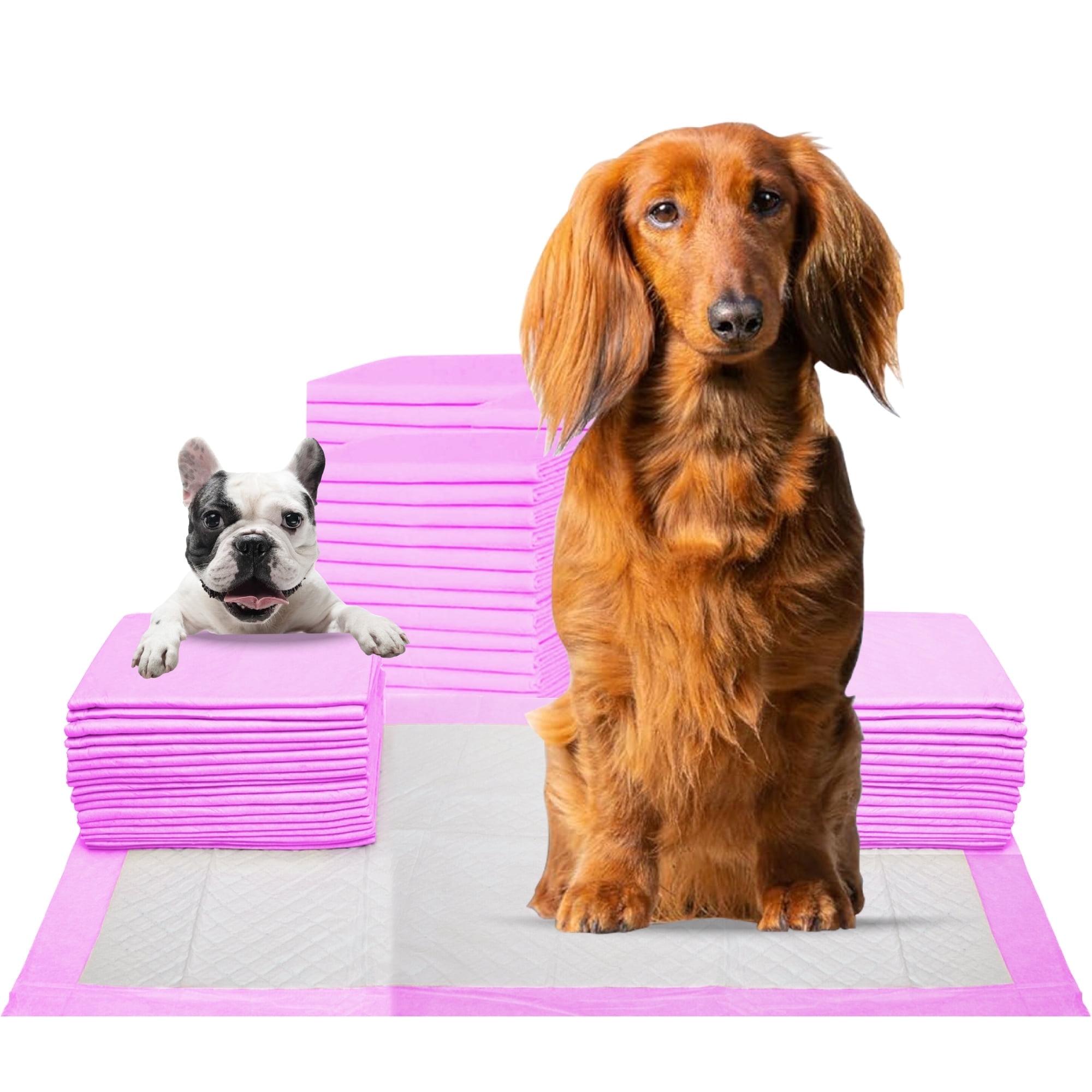 FPN Pink Puppy Pee Pads, 13X18 in 100Pack, Pet Toilet Training Pad Ultra Absorbent, Leak-Proof  for Puppies, Dogs, & Small Pets 5-Layer Protection