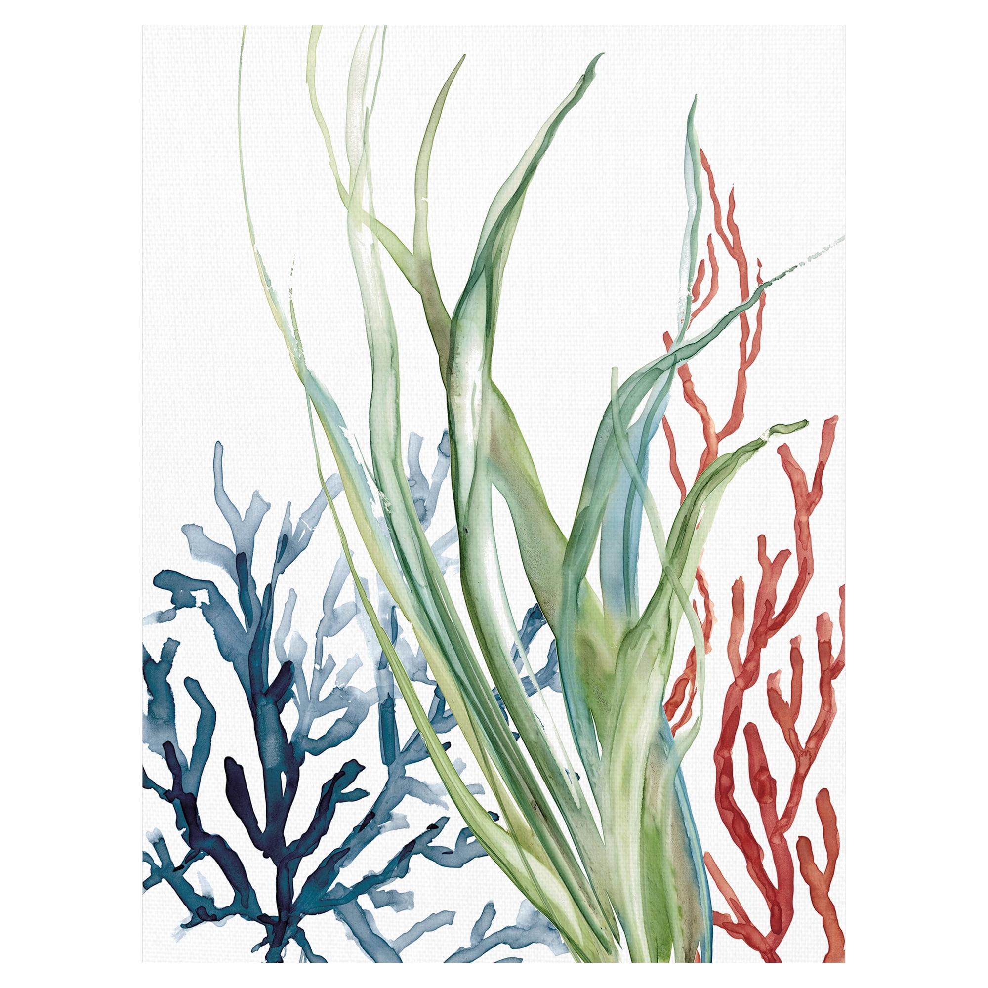 Fine Art Canvas Ocean Magic II Marine Botanical by Carol Robinson Canvas Art Print