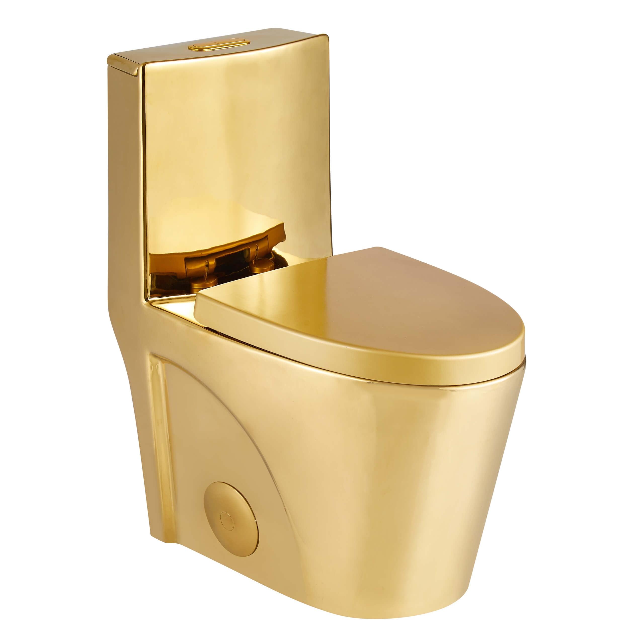 Dual-Flush Elongated One-Piece Toilet with High Efficiency Flush