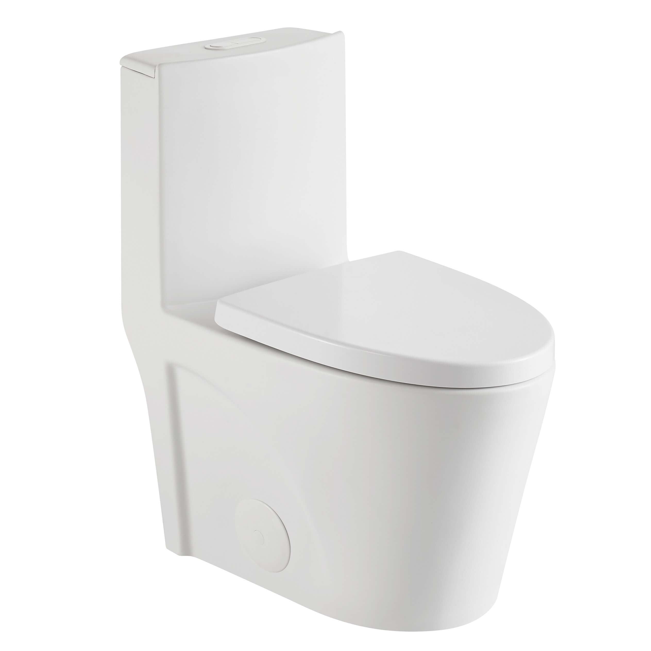 Dual-Flush Elongated One-Piece Toilet with High Efficiency Flush