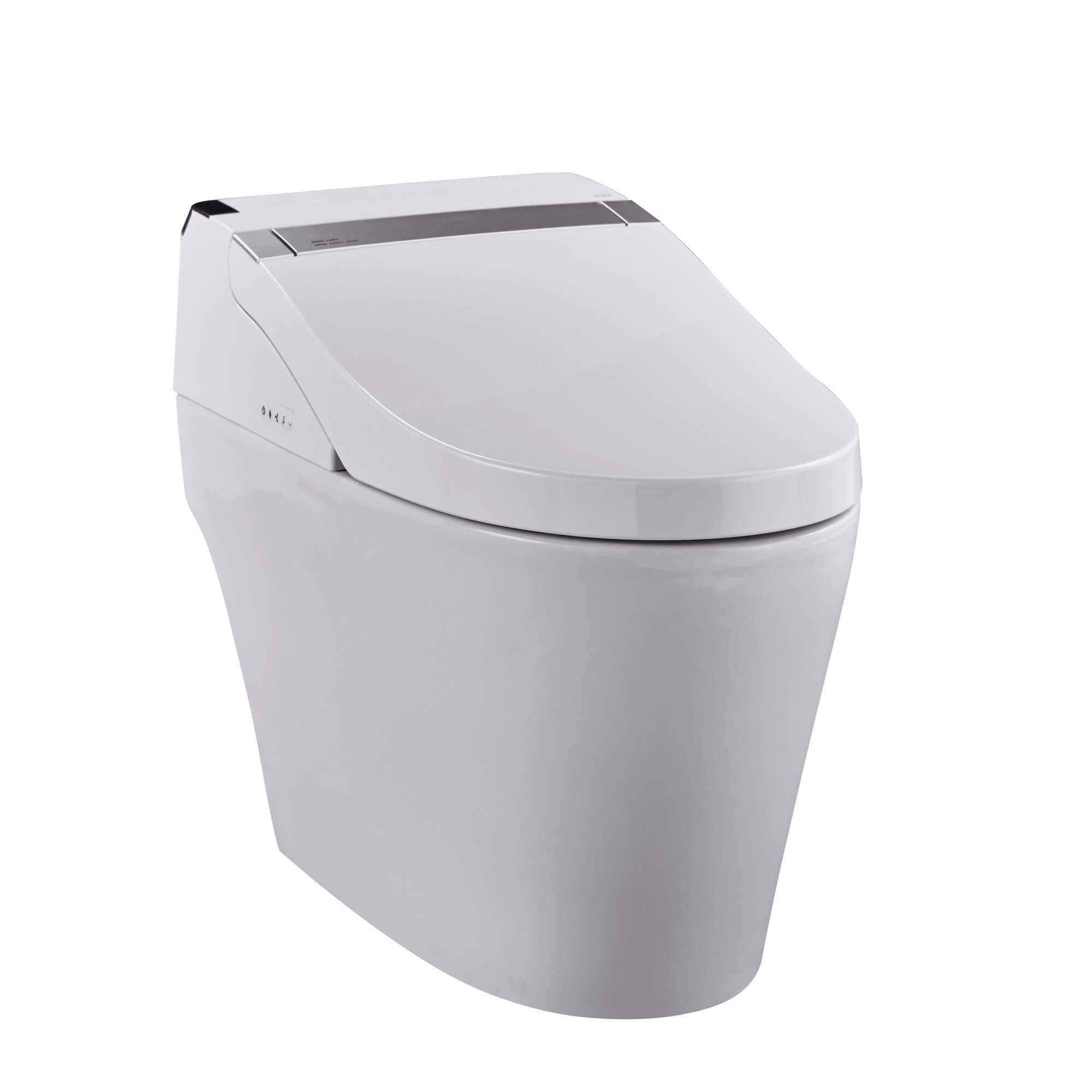 Dual-Flush Elongated Bidet Toilet (Seat Included)