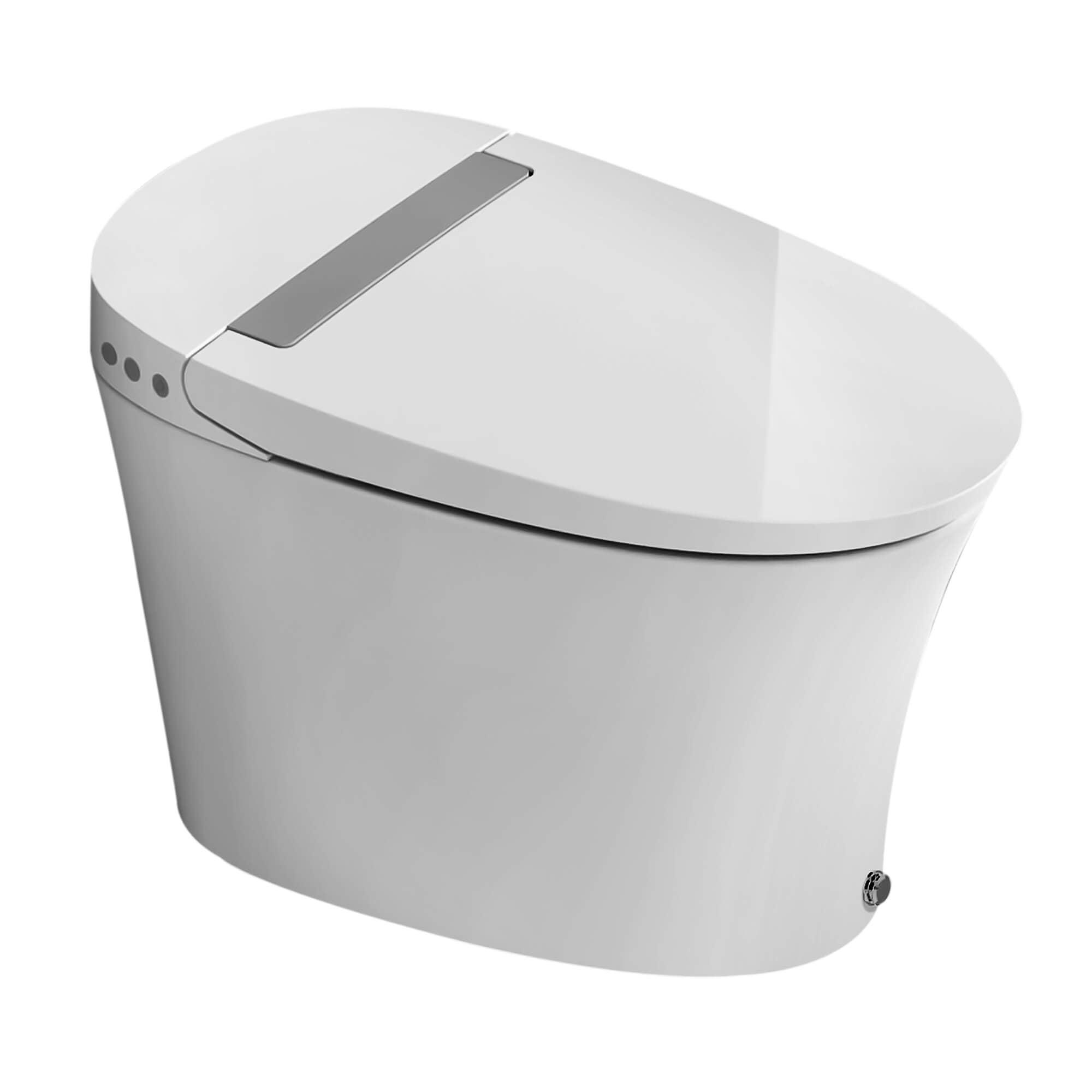 Dual-Flush Elongated One-Piece Toilet (Seat Included)