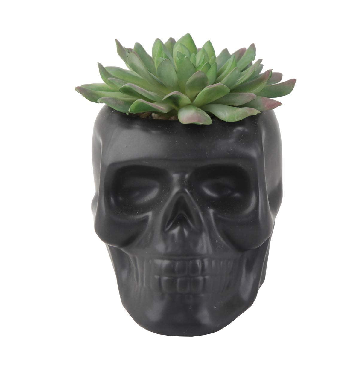 Matte Black Ceramic Day Of The Dead Ghastly Skull Planter Bowl Pot Figurine