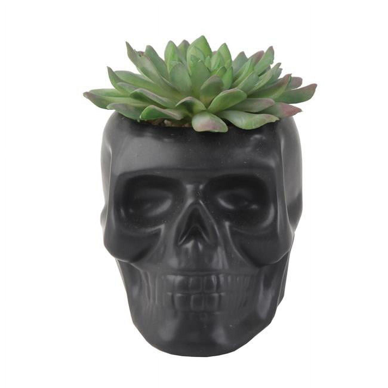 Chic Matte Black Ceramic Skull Succulent Planter, 4.5" x 3.5"