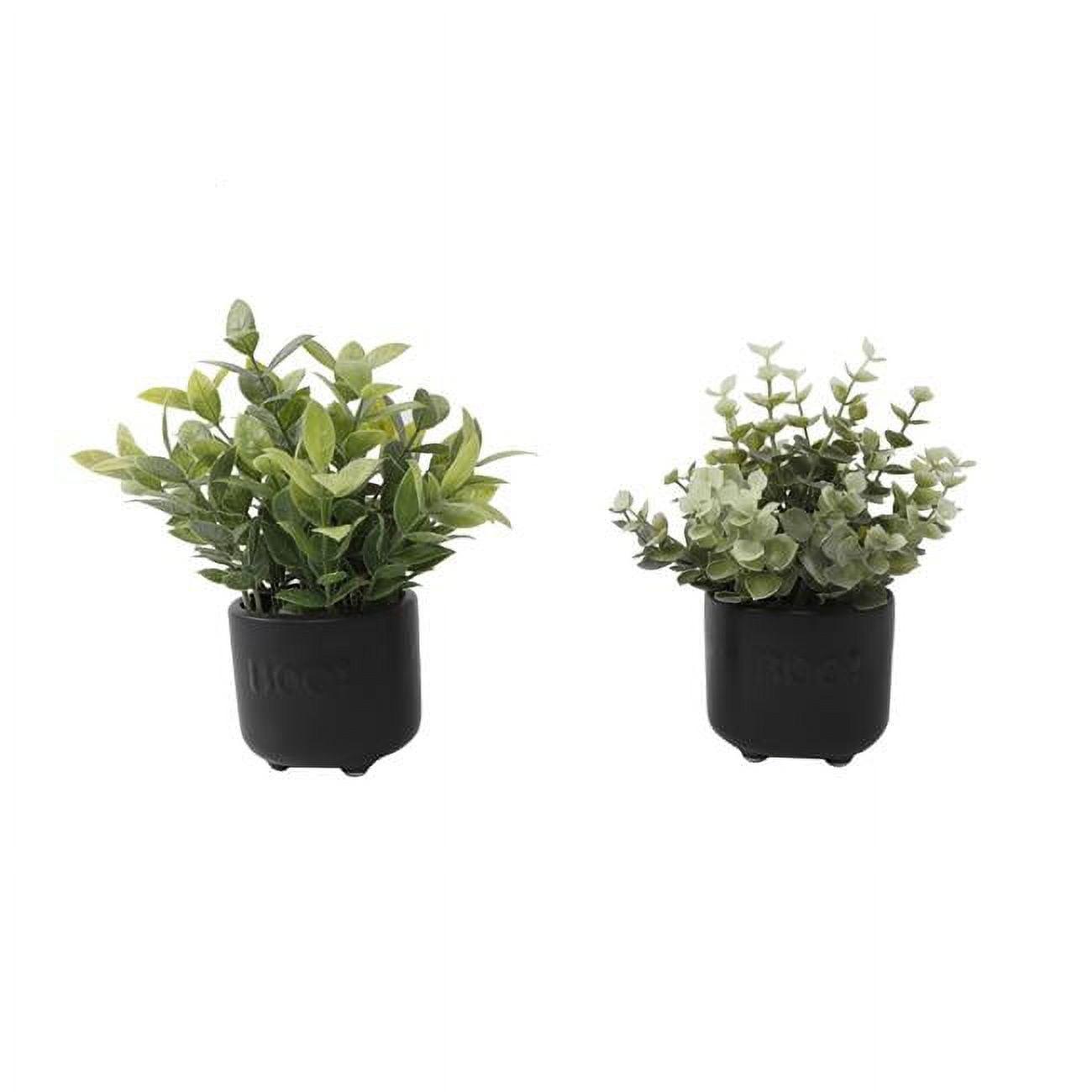 Set of Two Faux Eucalyptus and Tea Leaf Plants in Black Ceramic Pots