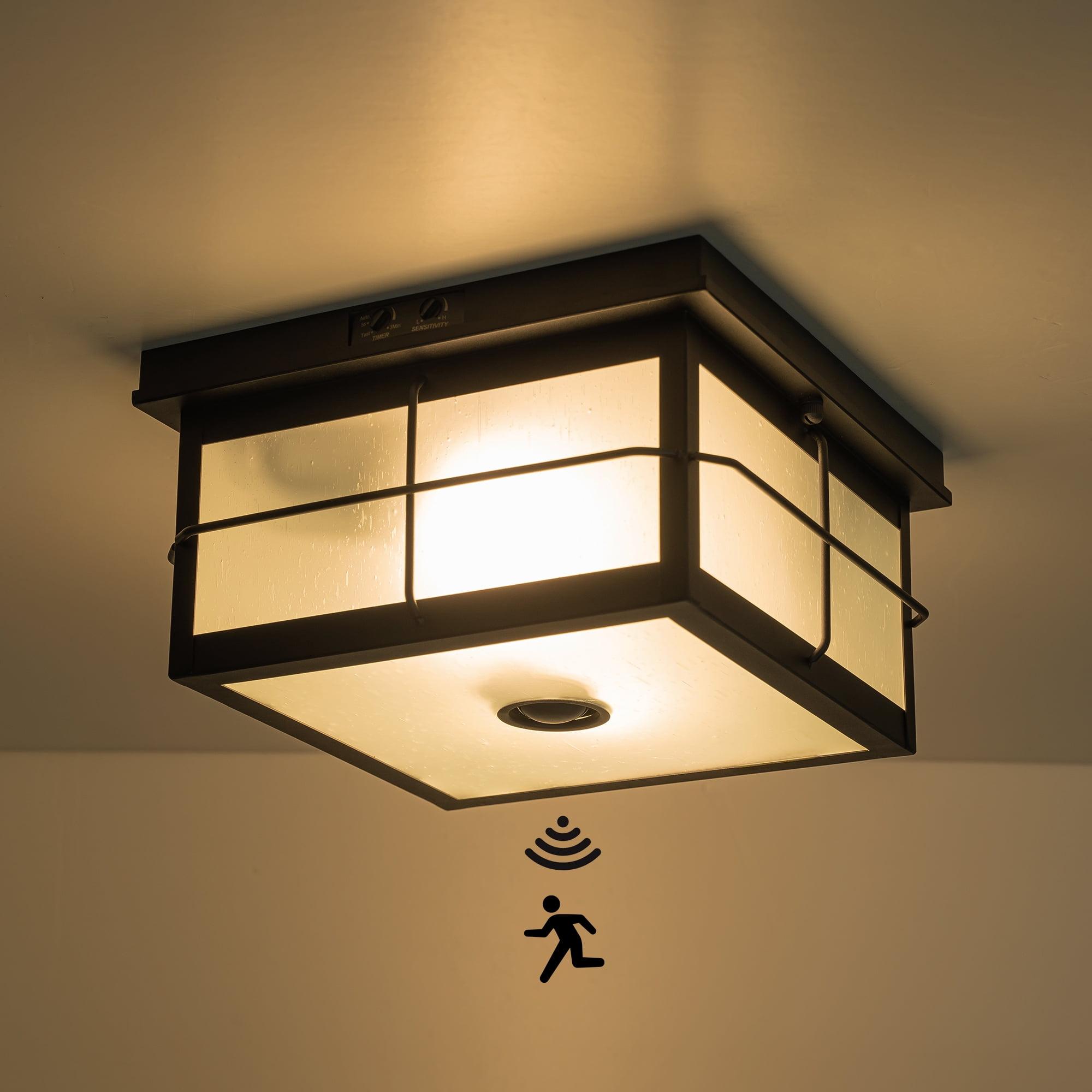 Matte Black 2-Light Outdoor Flush Mount with Clear Glass Shade