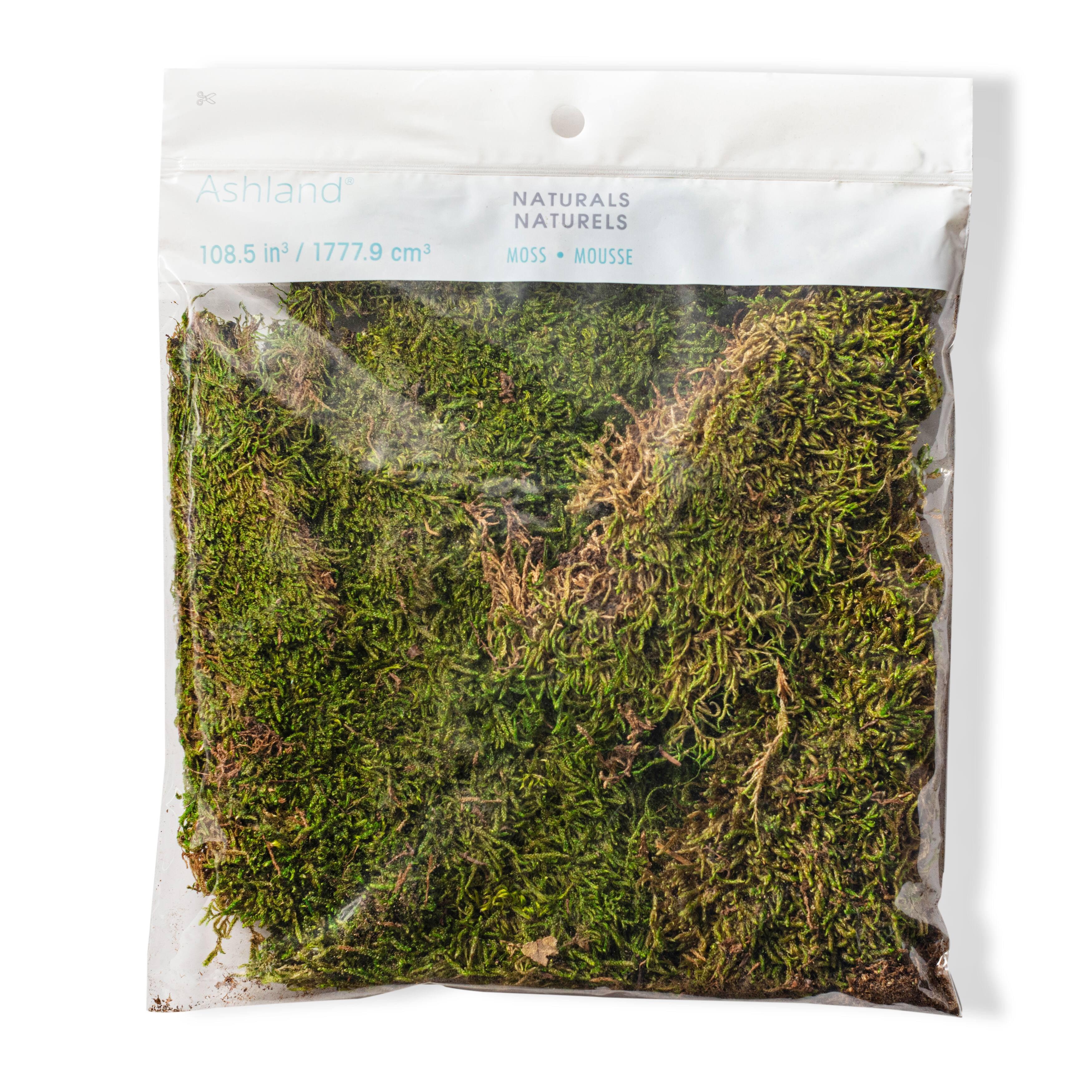 Fresh Green Preserved Sheet Moss for Home Decor Projects