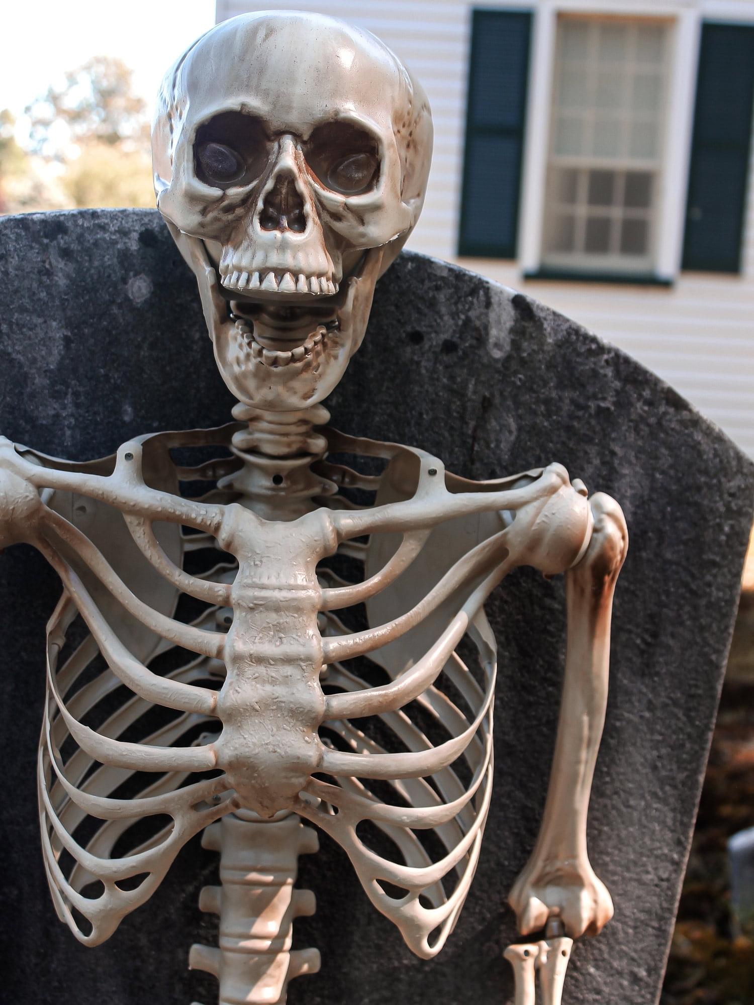 Forum Novelties 5' Posable Skeleton Party Decoration