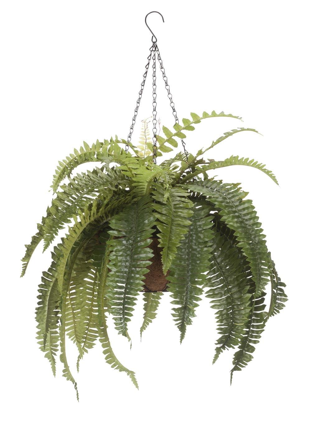 Fox Valley Traders 23 .5” Artificial Fern in Coco Fiber Hanging Basket