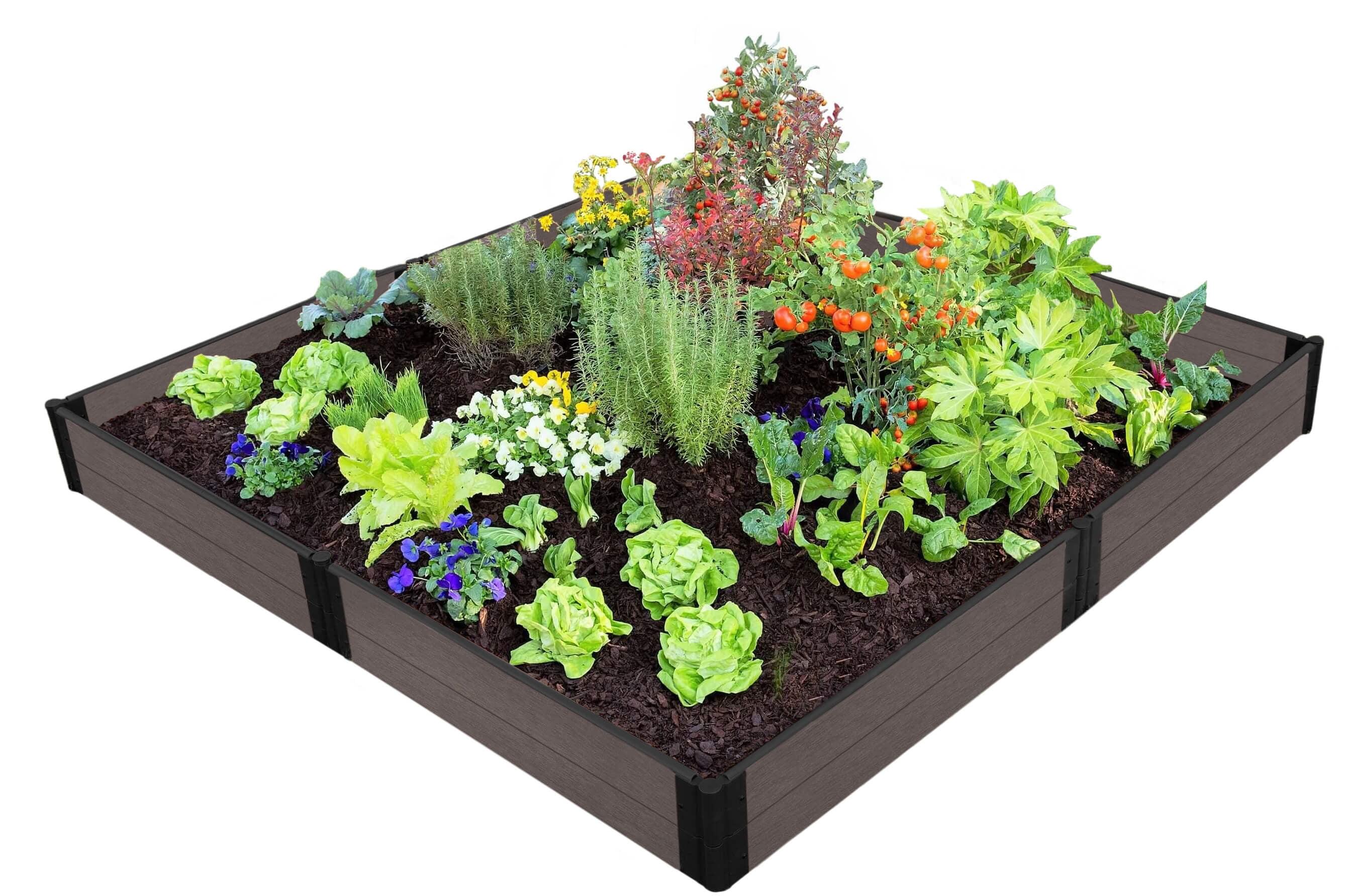 Raised Garden Bed