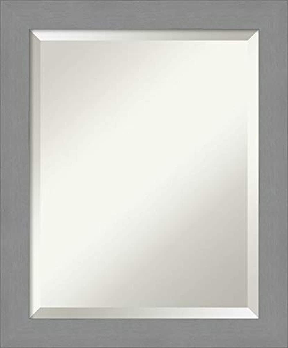 20" x 24" Brushed Nickel Framed Bathroom Vanity Wall Mirror - Amanti Art: Modern Rectangle, No Assembly Required