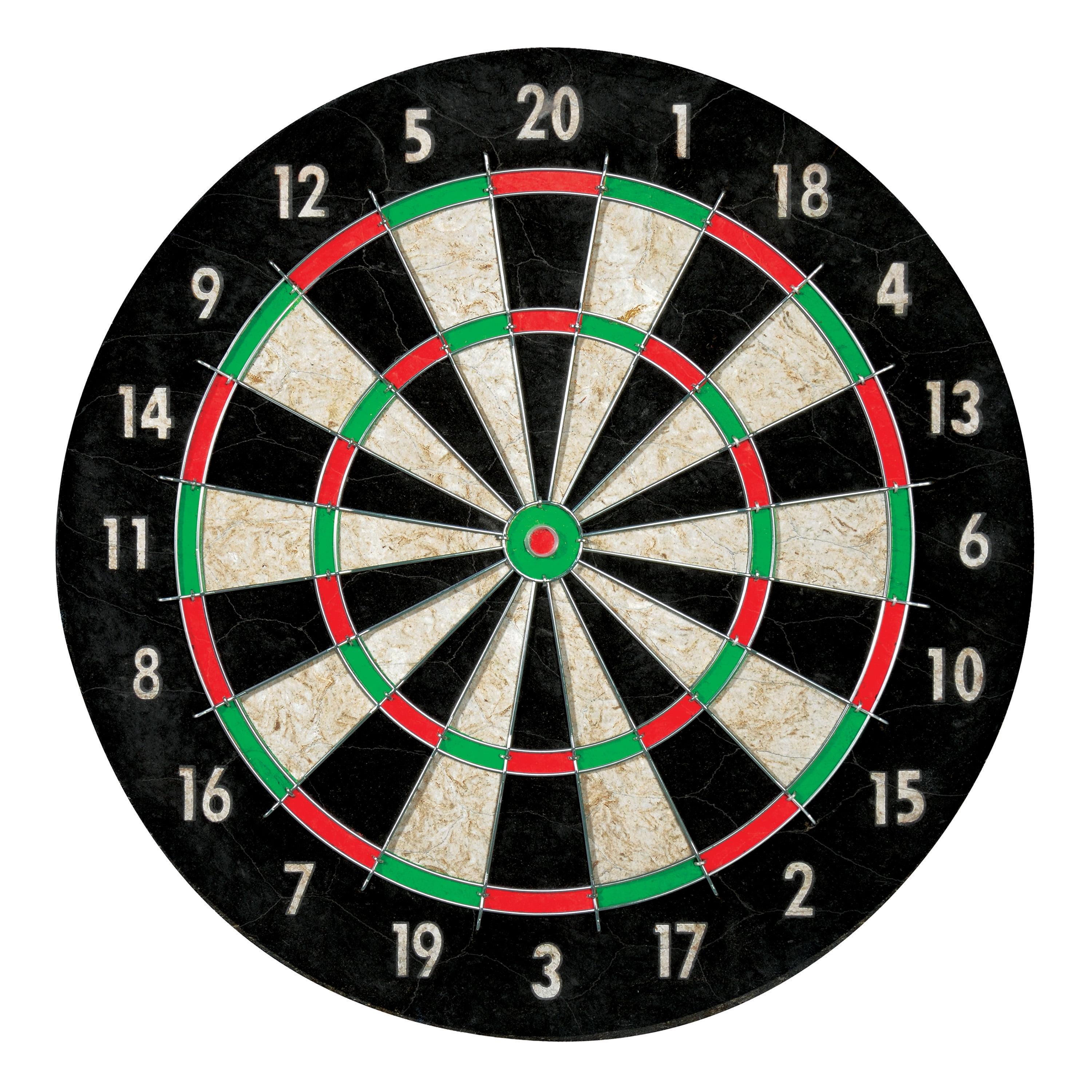 Pro Wire Bristle Dartboard