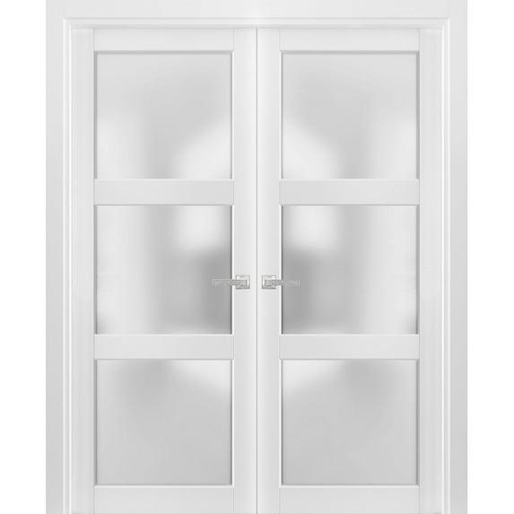 French Double Panel Lite Doors with Hardware | Lucia 2552 White Silk with Opaque Glass | Panel Frame Trims | Bathroom Bedroom Interior Sturdy Door