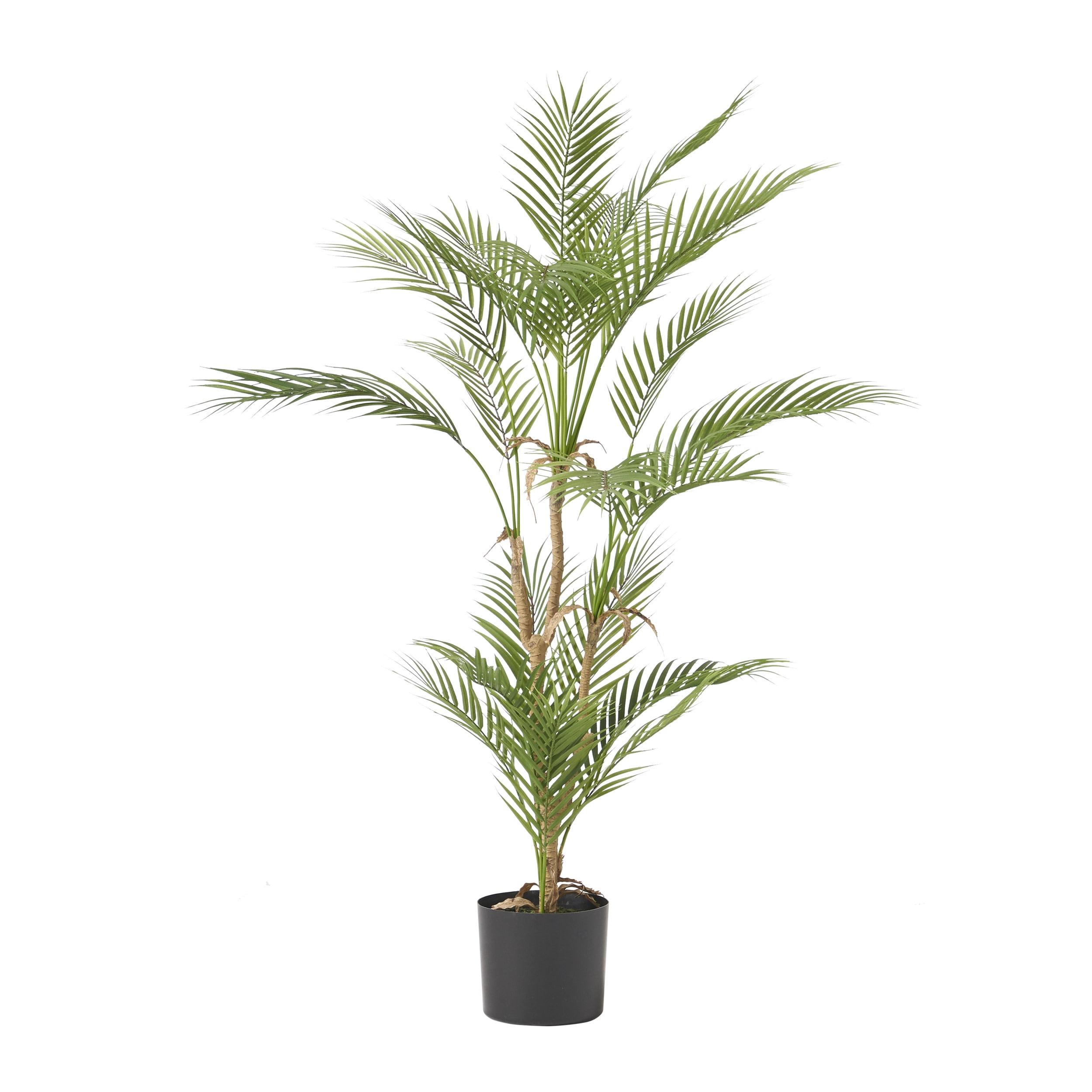GDFStudio Abbeville Artificial Palm Tree, Green, 5.5' x 3.5'