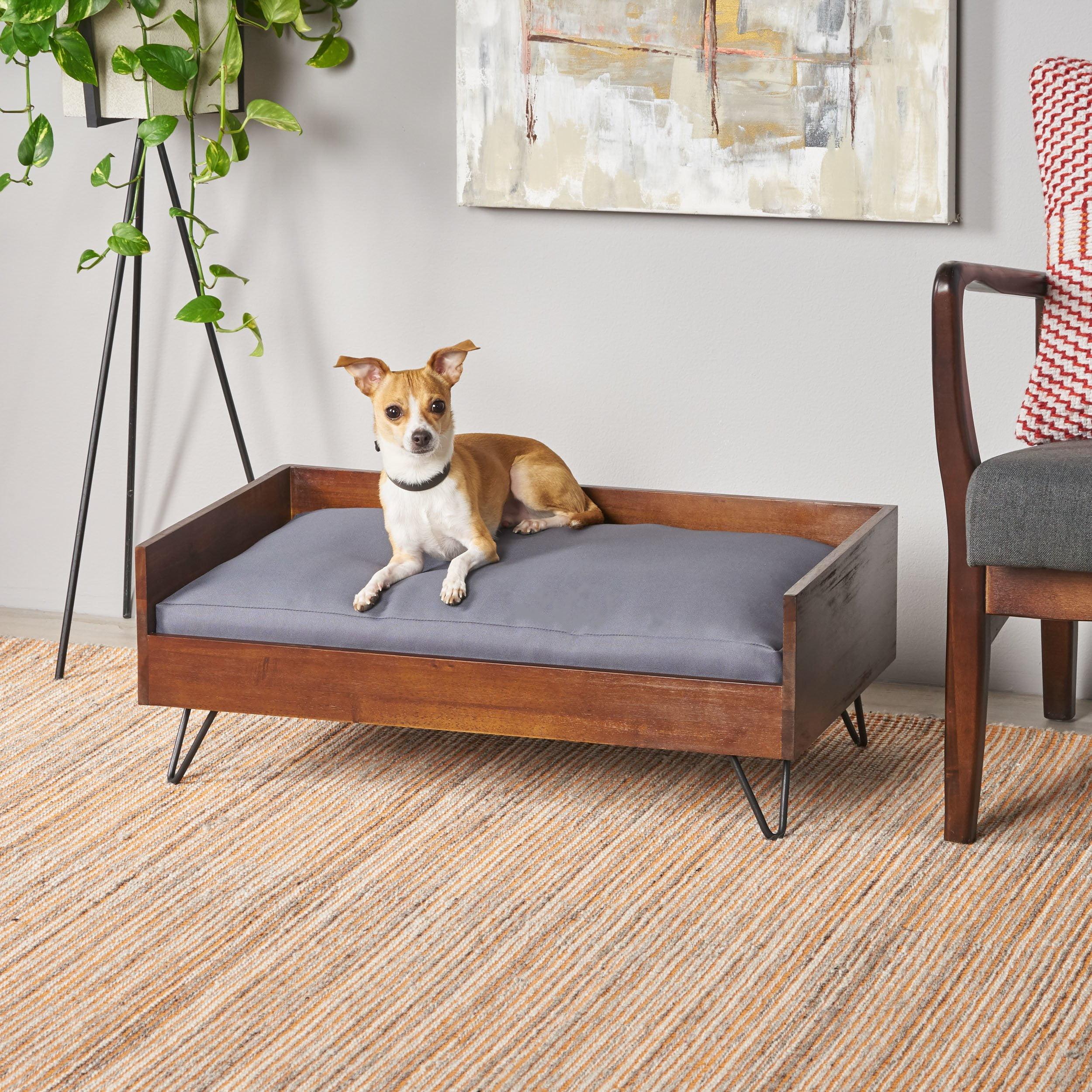 Tucker Murphy Pet™ Kaylor Mid Century Modern Dog Sofa