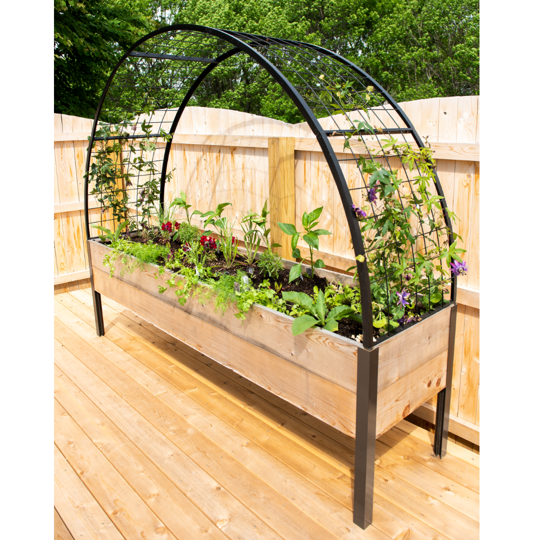 Black Steel Arch Trellis for Elevated Planter Boxes