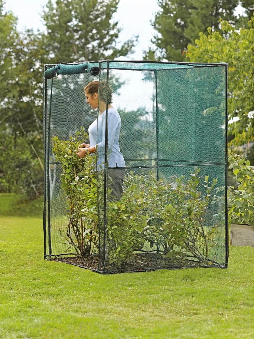 4' x 4' Green Metal Walk-In Crop Cage