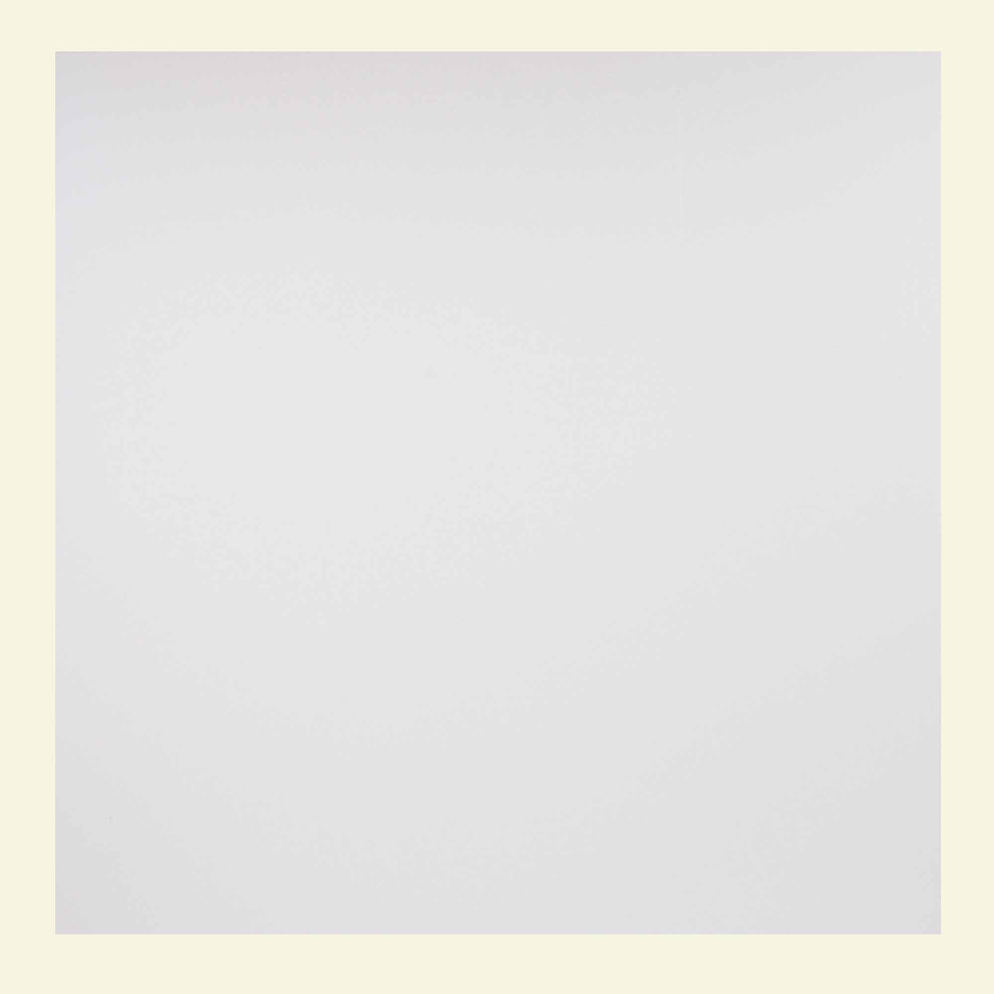 Genesis 2’ x 2’ Smooth Pro (12 Pack) Waterproof, Fire-Rated PVC, Washable, Easy Drop-In Installation, White Solid Through Color