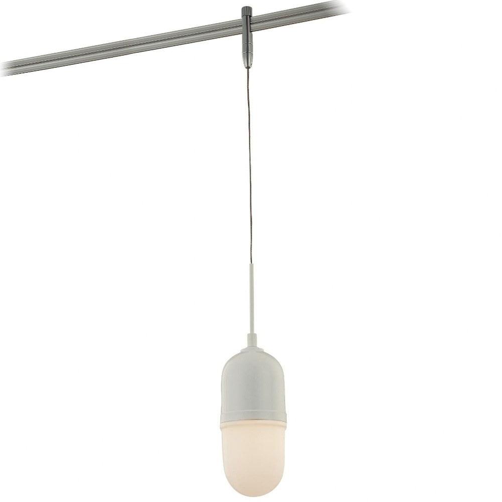 Elegant Brushed Nickel 18" Indoor/Outdoor Glass Pendant Light