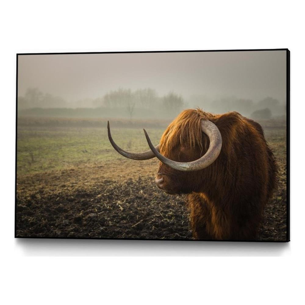 Large Framed Longhorn Canvas Print in Earthy Tones