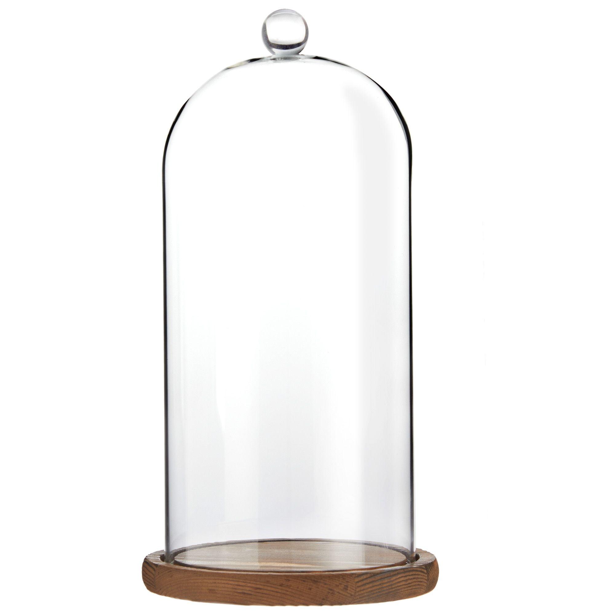 Farmlyn Creek 11 Inch Cloche Glass Dome with Base for Plants, Food, and Candles, 5.1 x 5.1 x 10 in