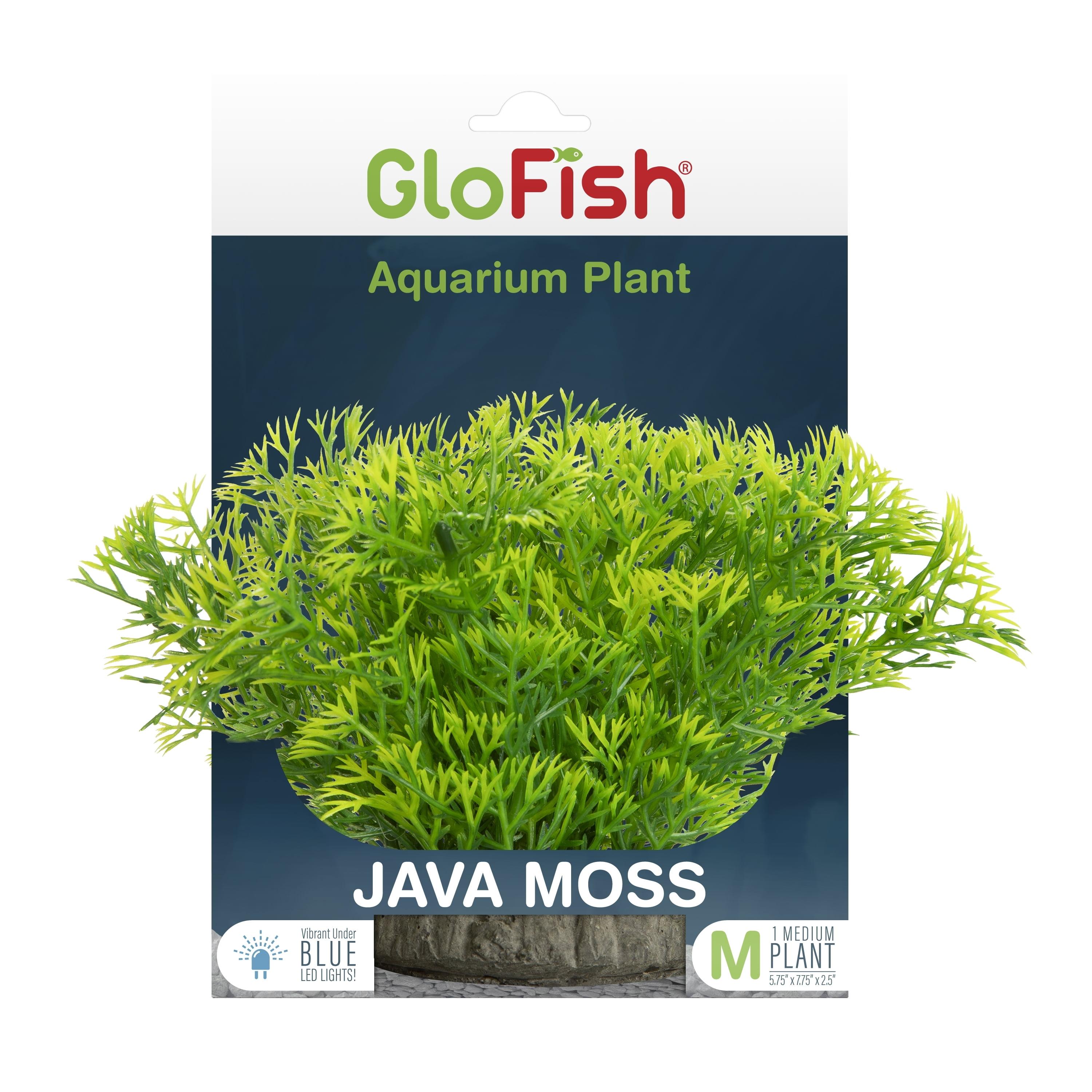 GloFish Green Medium Fluorescent Under Blue LED Light Java Moss Plant Aquarium Decor