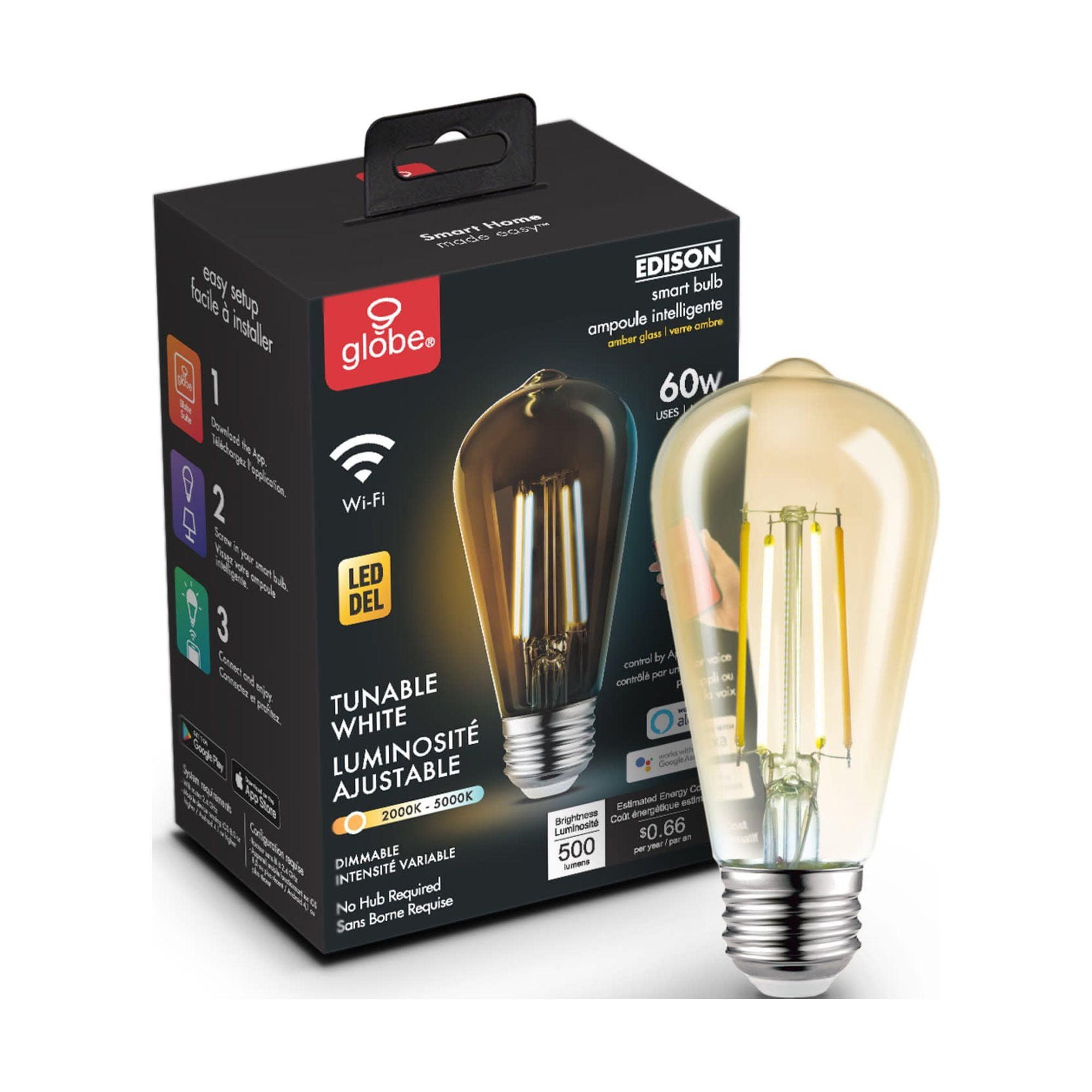 Smart 60W Amber Glass Tunable White Edison LED Bulb