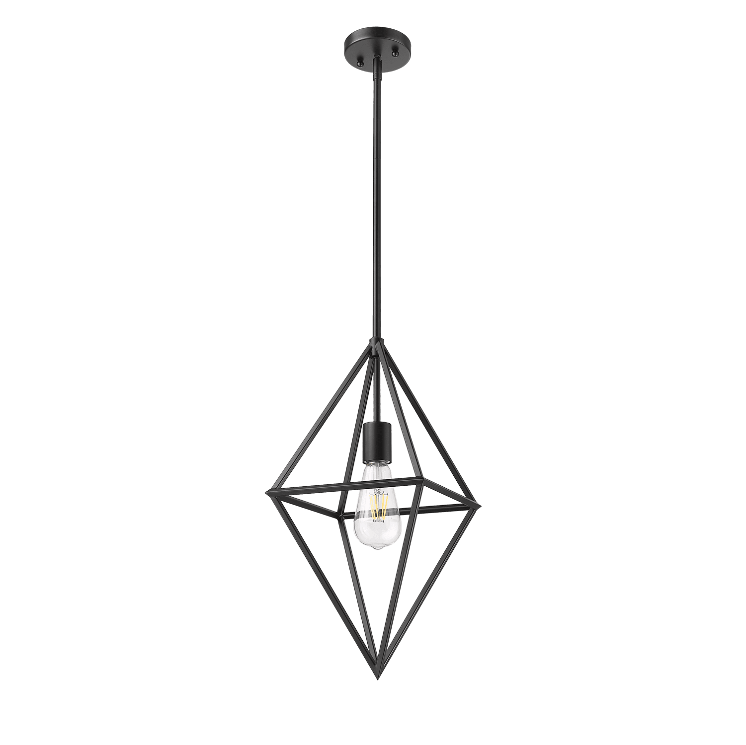 1 - Light Unique/Statement Pendant