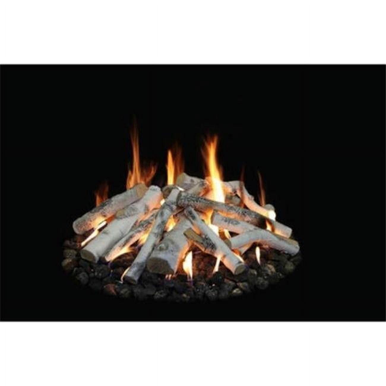 Aspen Birch 18-48" Outdoor Fire Pit Gas Logs Set