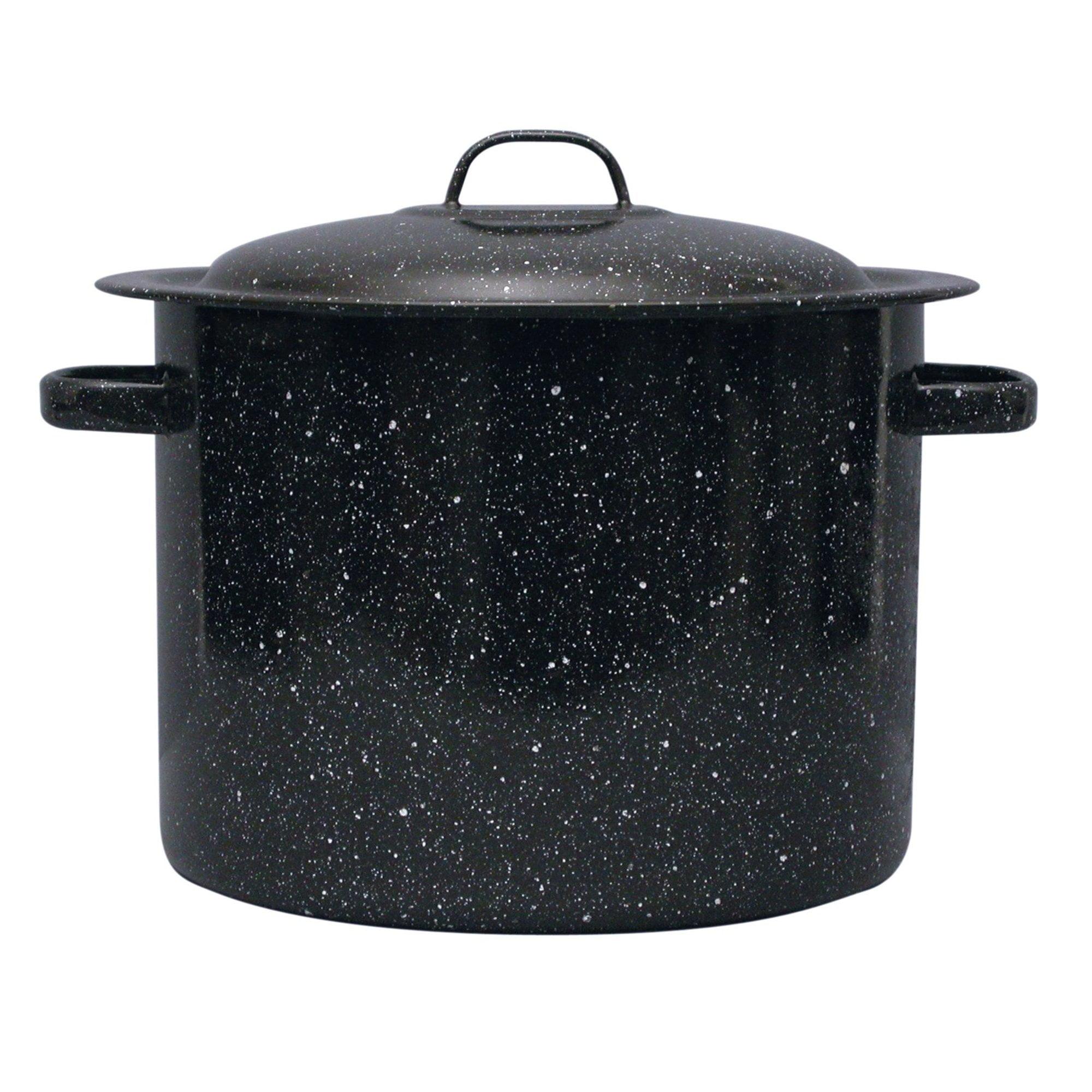 Eternal 12 qt. Non-Stick Carbon Steel Stock Pot with Lid & Reviews | Wayfair