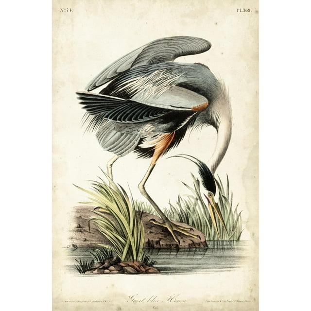 Art.com Great Blue Heron Art Print by John James Audubon, 16" x 24"