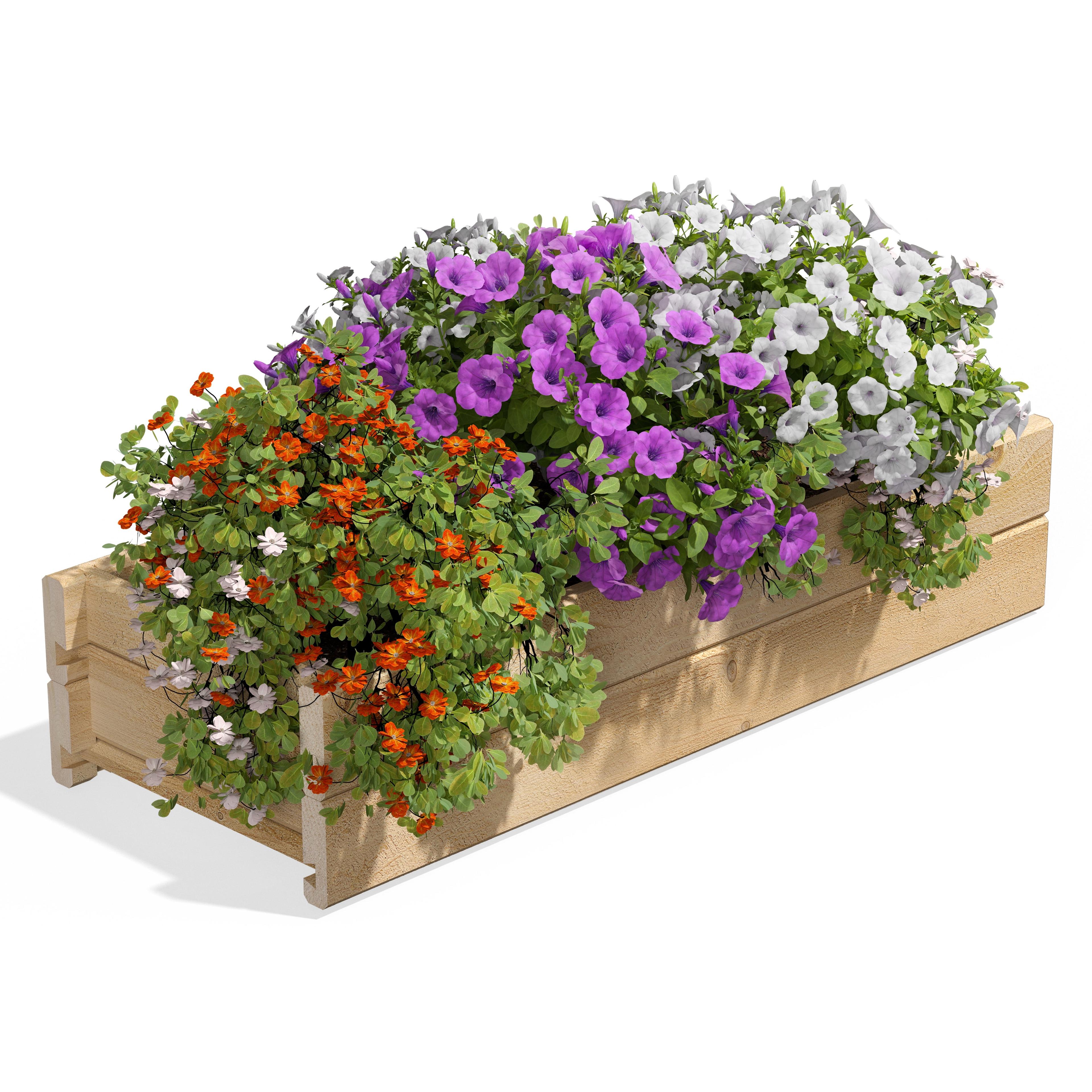 Eco-Friendly Cedar Rectangular Large Outdoor Planter Box, 32" x 11"