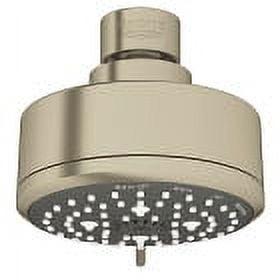Tempesta Fixed 4-Setting Shower Head Rain O2 Rain Massage Jet Settings