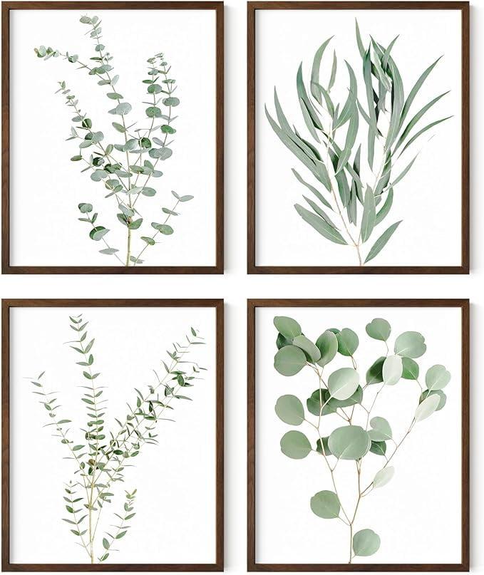 Set of 4 Walnut Framed Botanical Eucalyptus Prints