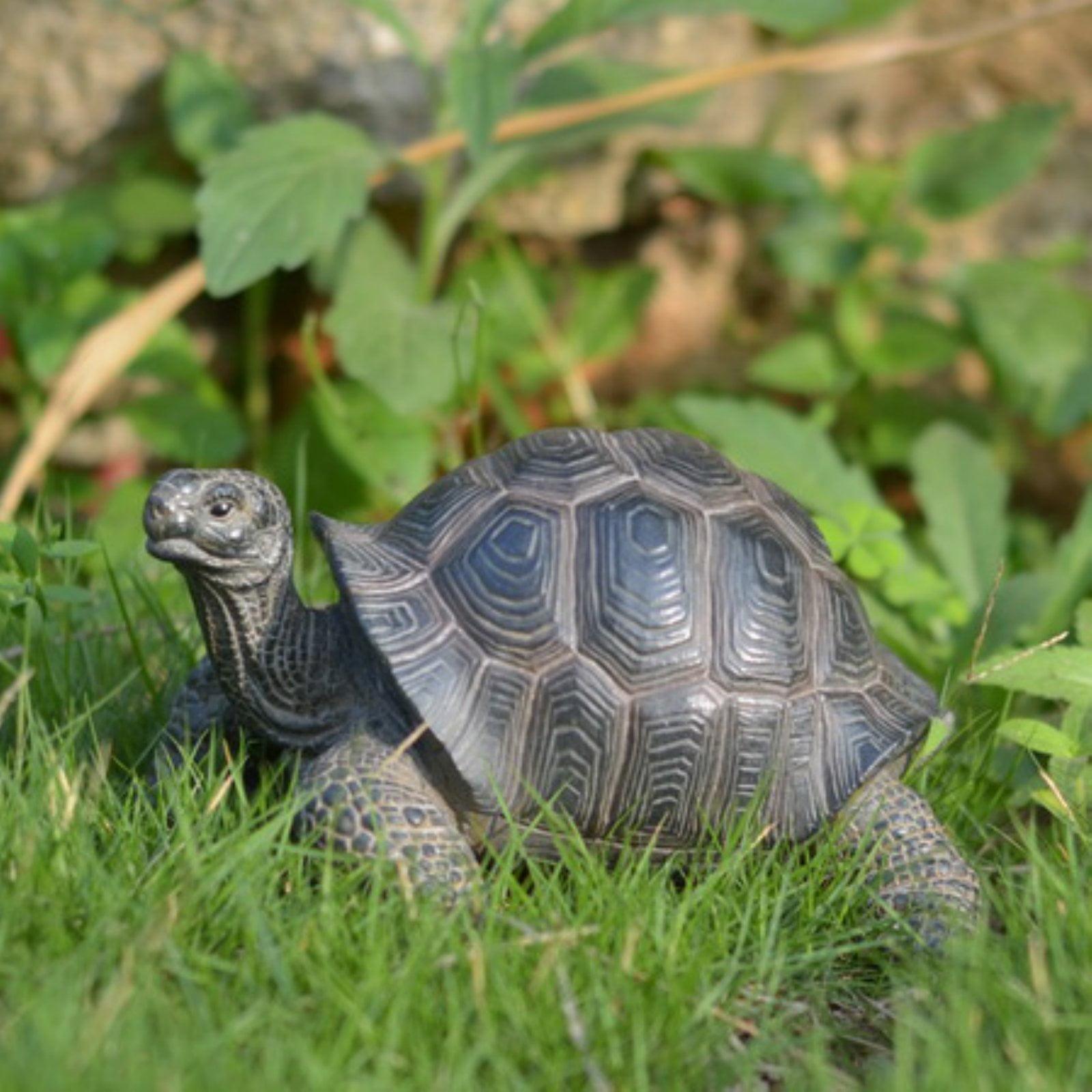 Realistic Grey-Brown Tortoise Garden Statue, 7 Inches