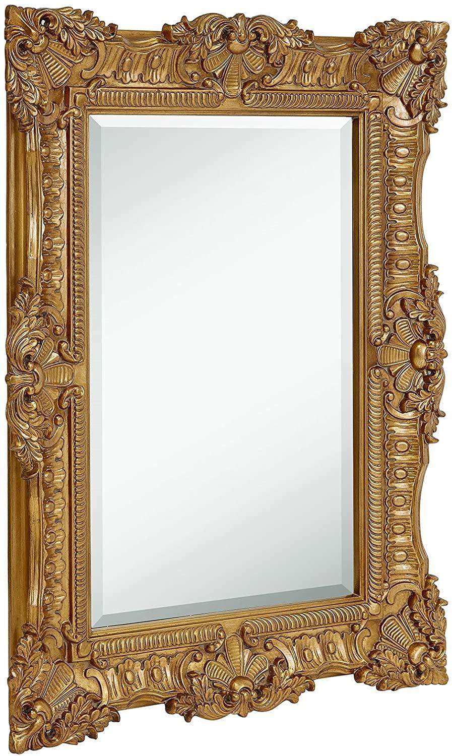 Hamilton Hills Large Ornate Gold Baroque Frame Mirror