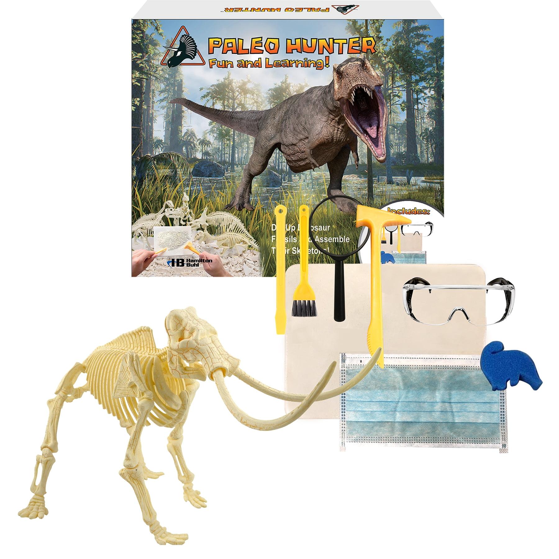 HamiltonBuhl Paleo Hunter Dig Kit for Education - Mammoth Rex