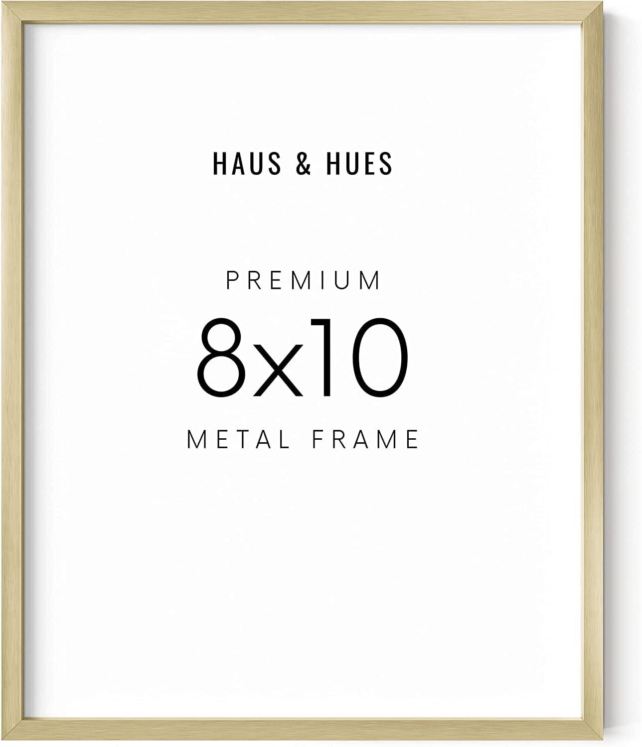 Haus and Hues Brushed Metal Single Picture Frame