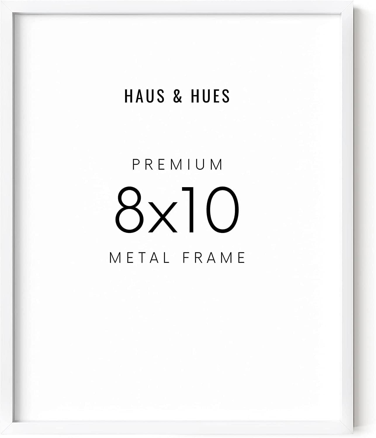 Aluminum Frame (Set Of 1) Metal Picture Frame