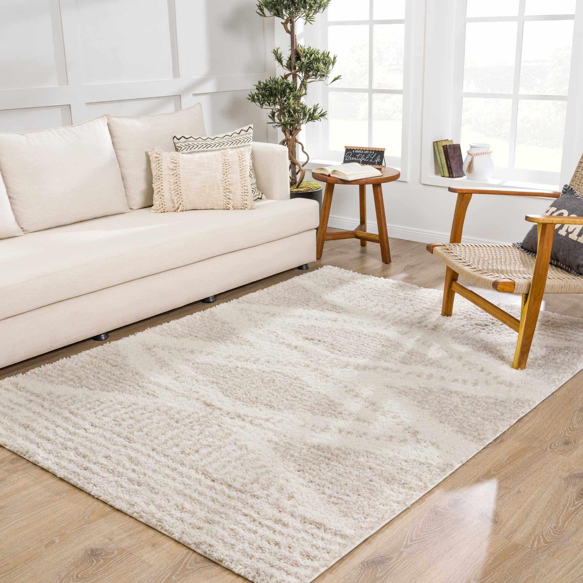 Hauteloom Trunding Plush Area Rug