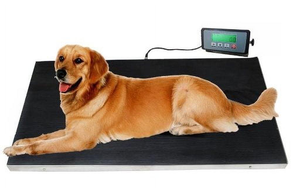 Heavy Duty 660 Pounds Dog Scale with Stainless Steel Platform and Rubber Mat for Dog Cat Pet Alpaca Llama Sheep Fish