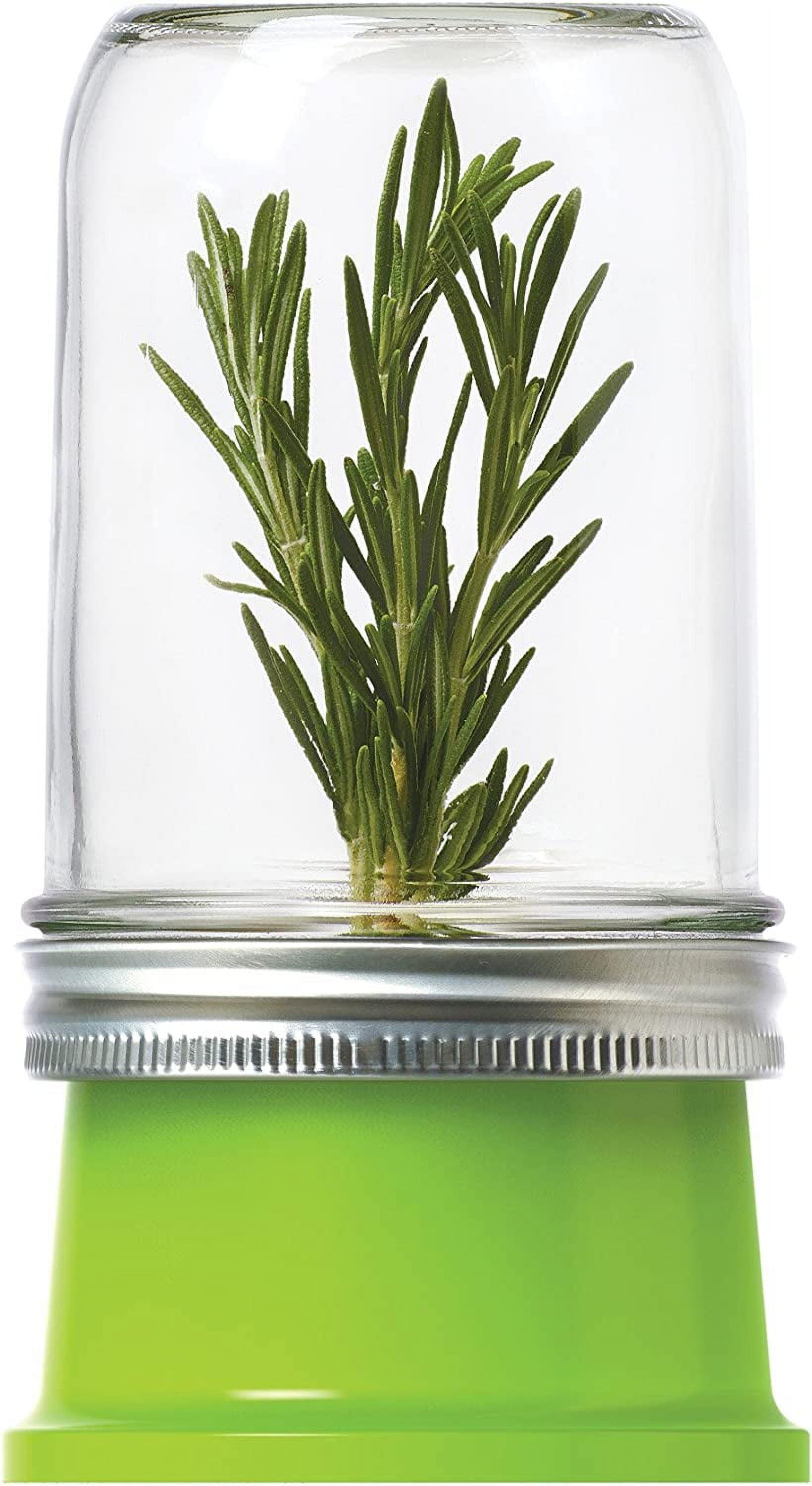 Green BPA-Free Plastic Herb Saver Lid for Wide Mouth Mason Jars