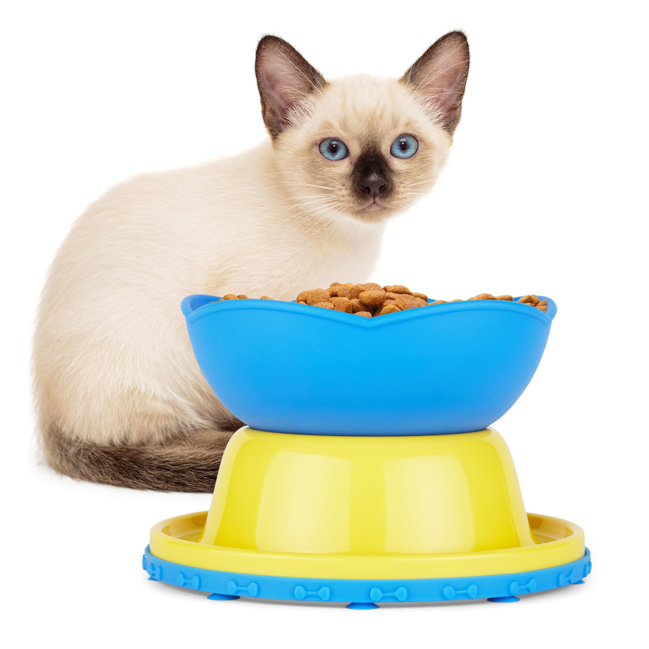 Yellow and Blue Elevated Slow Feeder Bowl for Cats