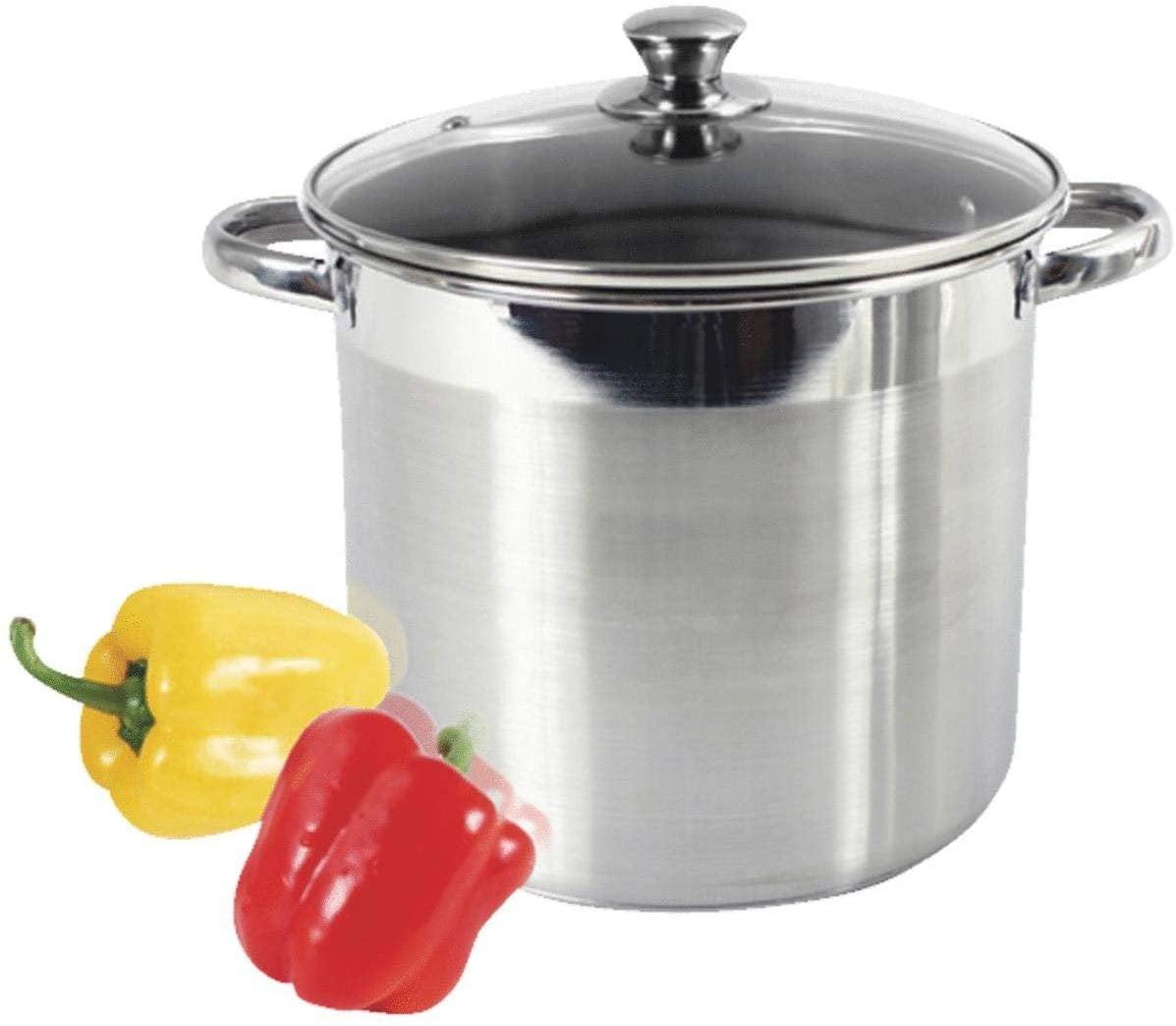 McSunley 8 Qt. Silver Stainless Steel Stockpot with Glass Lid