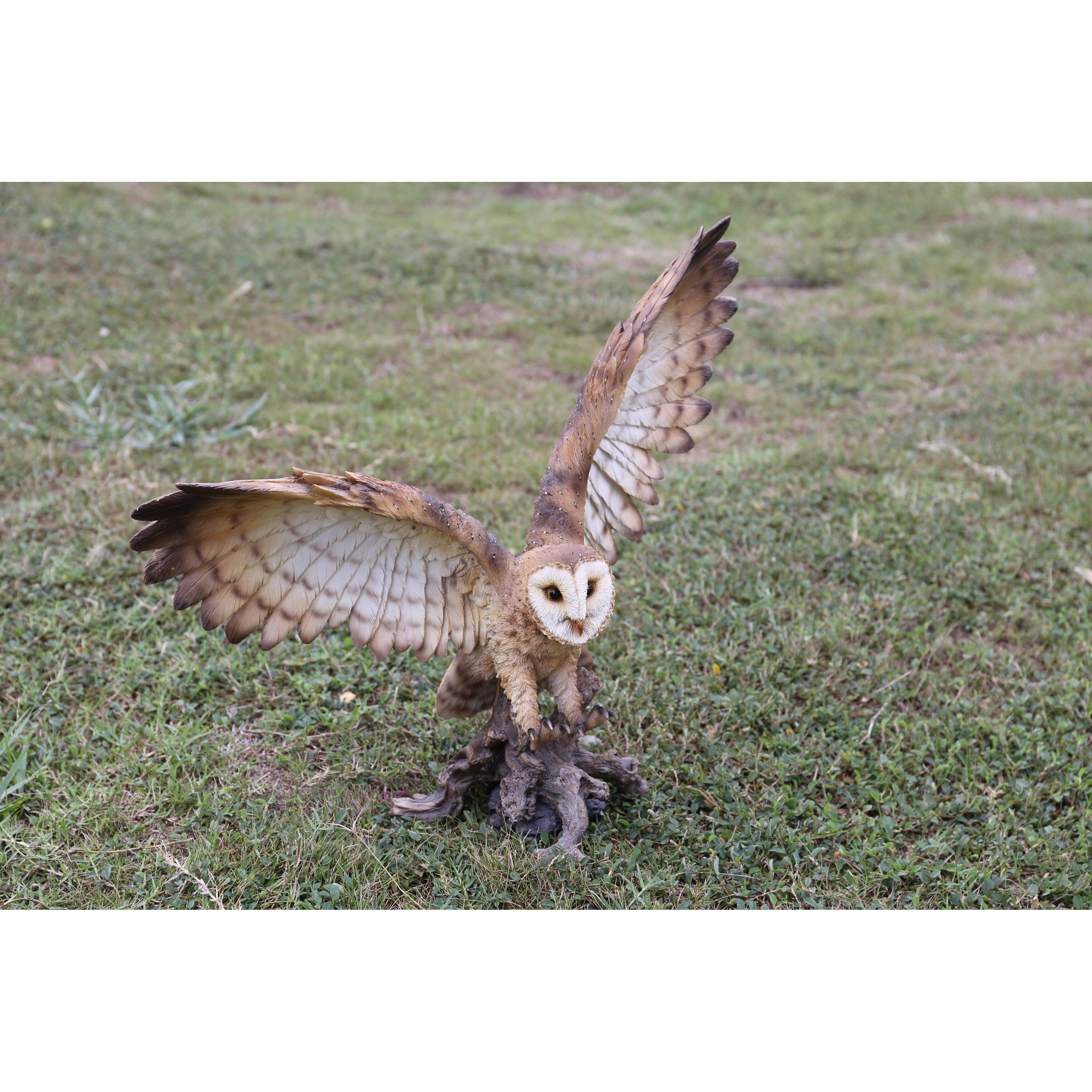 Barn Owl on Stump with Open Wings Polyresin Statue