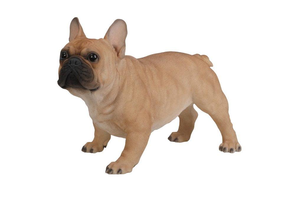 Dog French Bulldog Statue